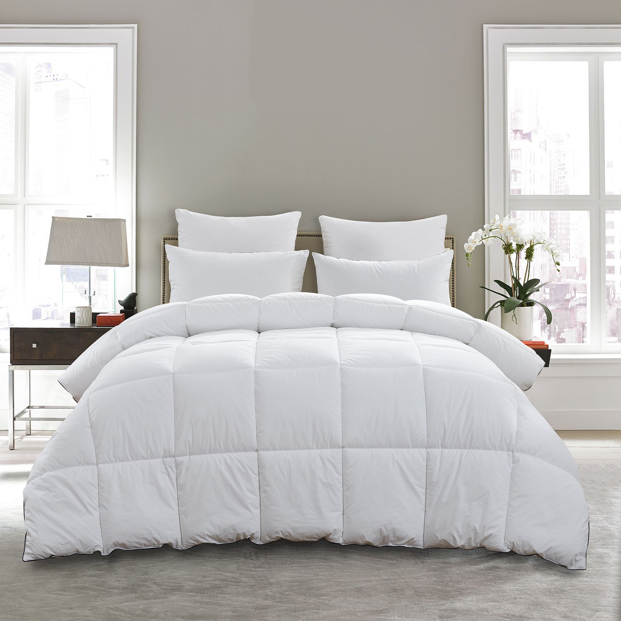 Basic Beyond AllSeason Goose Down Comforter (Twin) Warm Down Duvet