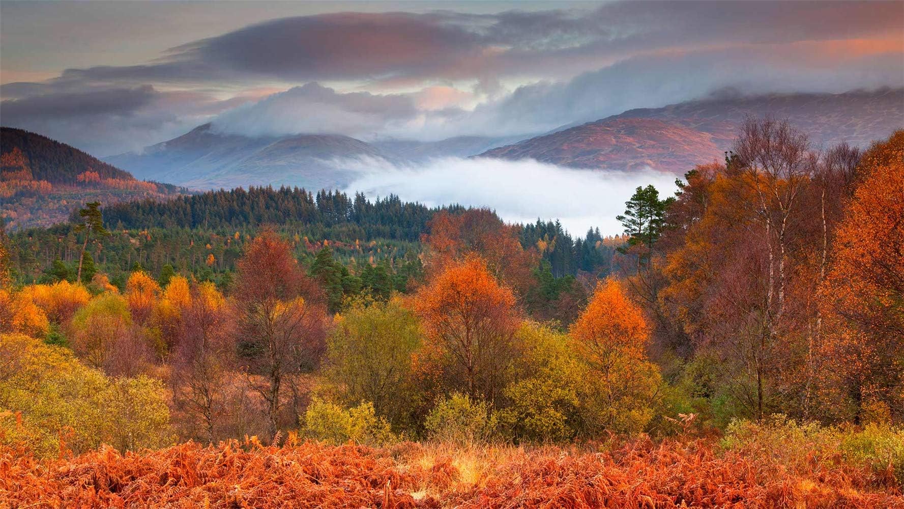 PANDABOOM Loch Lomond And The Trossachs National Park, Scotland, Puzzle 1500 Pieces Jigsaw Puzzles for Adults and Child (87 x 57 cm)