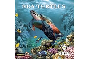 WINDRIO 2026 Wall Calendar,Calendar 2026, November 2025 - December 2026, Wall Calendar Sea Turtles, 12" x 24" Opened,Full Page Months Thick & Sturdy Paper for Gift Perfect Calendar Organizing & Planning