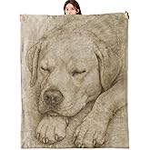 vnlvnl Sleeping Labrador Blanket Flannel Throw Blankets for Pet and Dog Lovers, Lightweight Warm Soft Cozy Realistic Hand Drawn Puppy Print Sofa Couch Bed Office Rv Bedroom Decor Gifts, 60x50inch