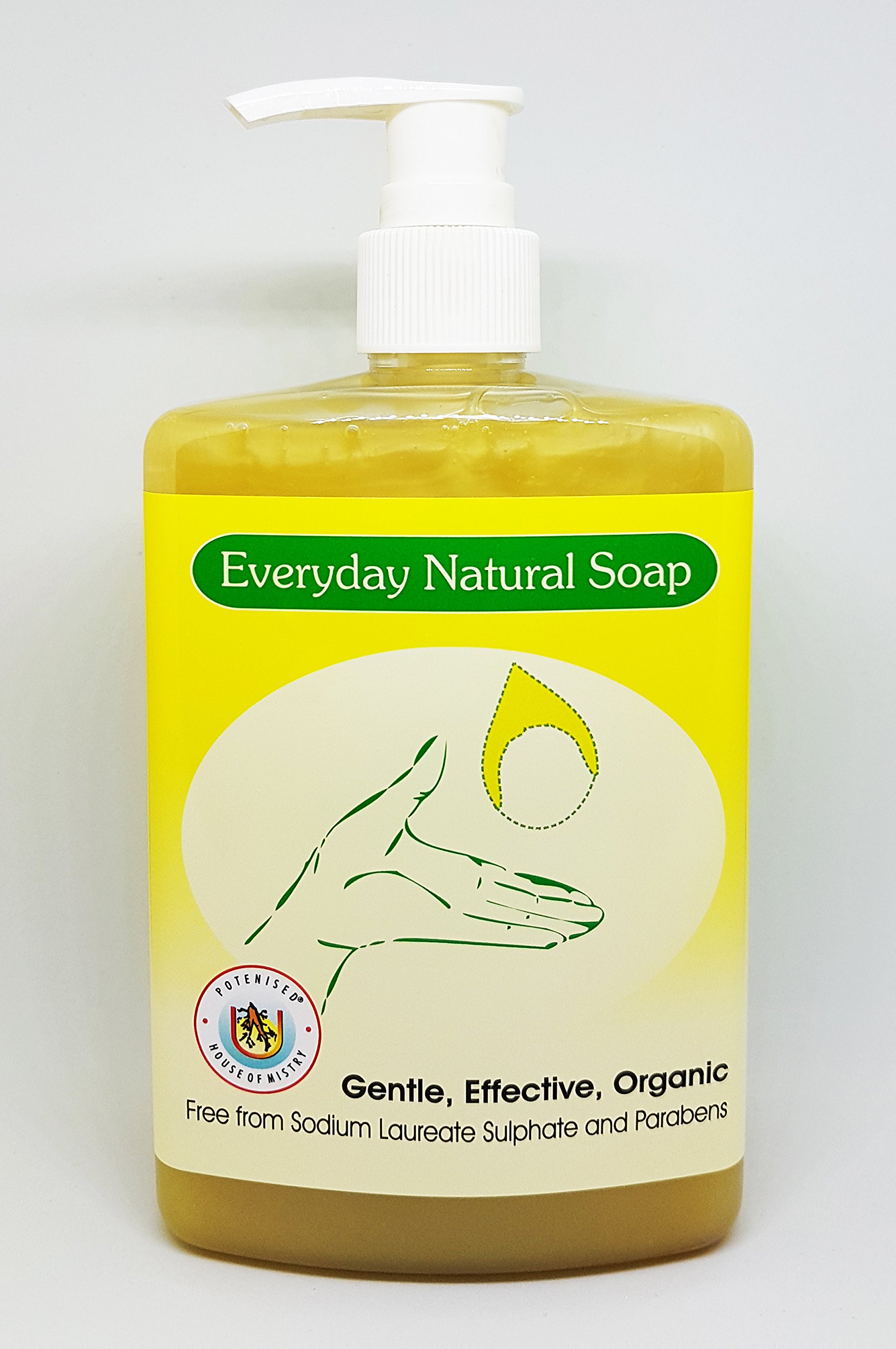 The House of Mistry Organic Everyday Natural Hand Liquid Soap
