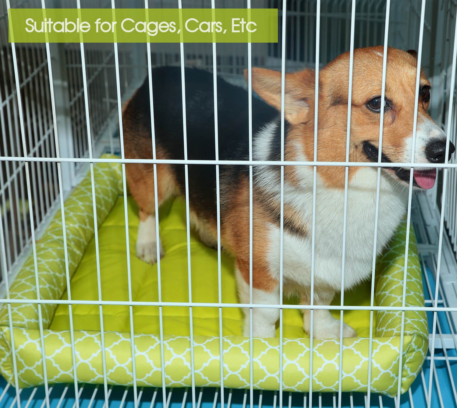 Cuccia per Cane da Interno Sfoderabile Materassino Cane Imbottito Cuccia per Cane da Interno Sfoderabile Materassino Cane Imbottito per Gabbia Trasportino Macchina Tessuto rinfrescante Adatto per Primavera