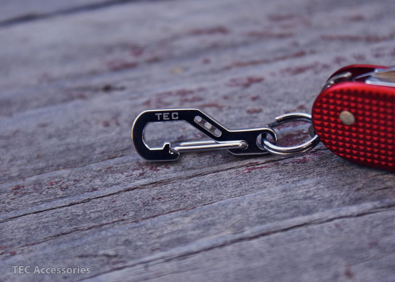 TEC Accessories Python Clip - Stainless Steel Keychain Carabiner with Gate Guard: Clothing