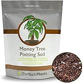 Perfect Plants Money Tree Potting Soil 4qt | Organic Coco Coir Based Plant Mix for Indoor Trees | Quickly Grow Your Indoor Forest