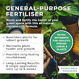 Grow Chem Fish Blood & Bone Fertiliser 1KG Bucket Multi-Purpose view 2