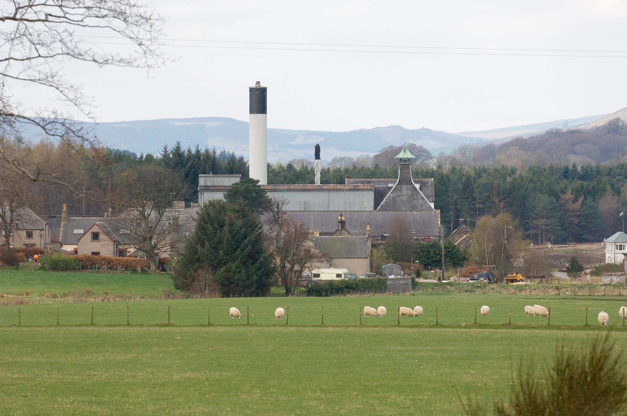 Ardmore the Ardmore Legacy | Highland Single Malt Scotch Whisky | mit Geschenkverpackung | 40% Vol | 700ml Einzelflasche | In verschiedenen Varianten erhältlich 3