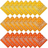 Suhine 24 Pcs Bandanas Bulk 22 x 22 Inch Paisley Outdoor Headband Handkerchief for Men Women Gift Thanksgiving Christmas