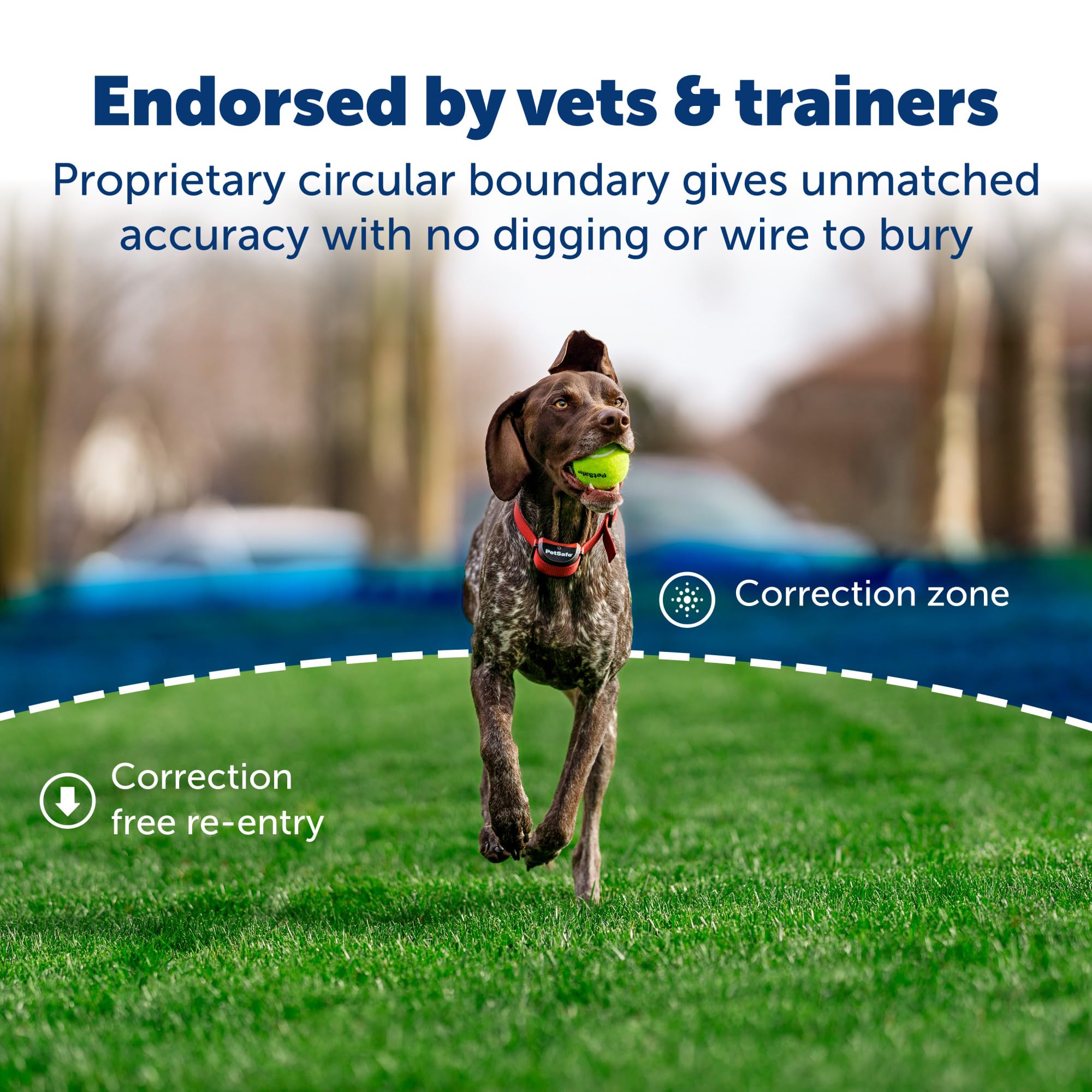 PetSafe Stay & Play Wireless Fence for Stubborn Dogs - America's Safest Wireless Pet Containment System - No Dig Electric Fence with Circular Boundary - Secure 3/4-Acre Yard - for Dogs 5lb+
