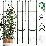 PLANTOP 2 Pack Tomato Cage - 72 inches Tall Plant Stakes Tomato Cages for Garden Pots - Plant Support Garden Tomato Trellis f