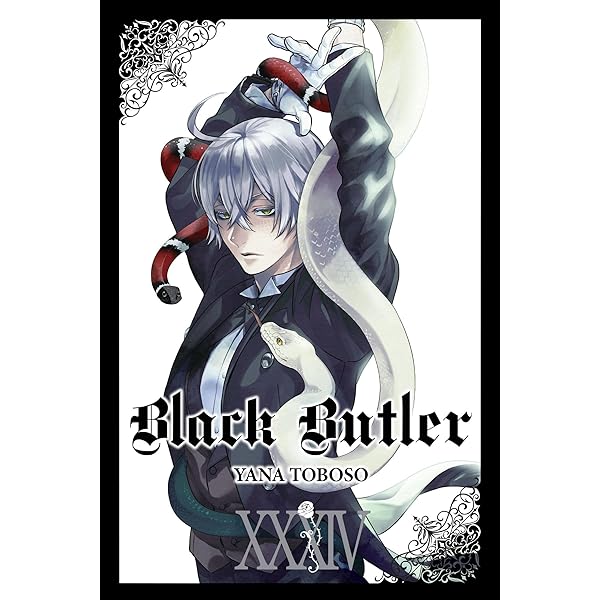 Amazon.com: Berserk, Vol. 34: 9781595825322: Kentaro Miura