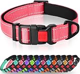 Taglory Reflective Nylon Dog Collar XS Pink Safety Buckle Neoprene Padding