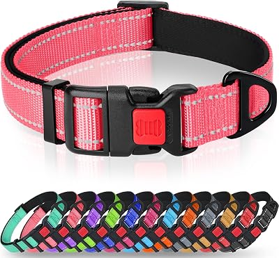 Taglory Reflective Nylon Dog Collar XS Pink Safety Buckle Neoprene Padding