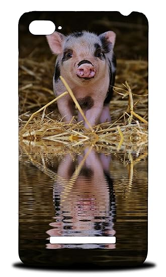 Amazoncom Foxercases Design Cute Baby Piglets Pigs 5 Hard Back