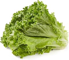 Lettuce Green Leaf Organic, 1 Each