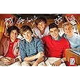 Trends International One Direction - Bus Wall Poster, 22.375" x 34", Premium Unframed Version