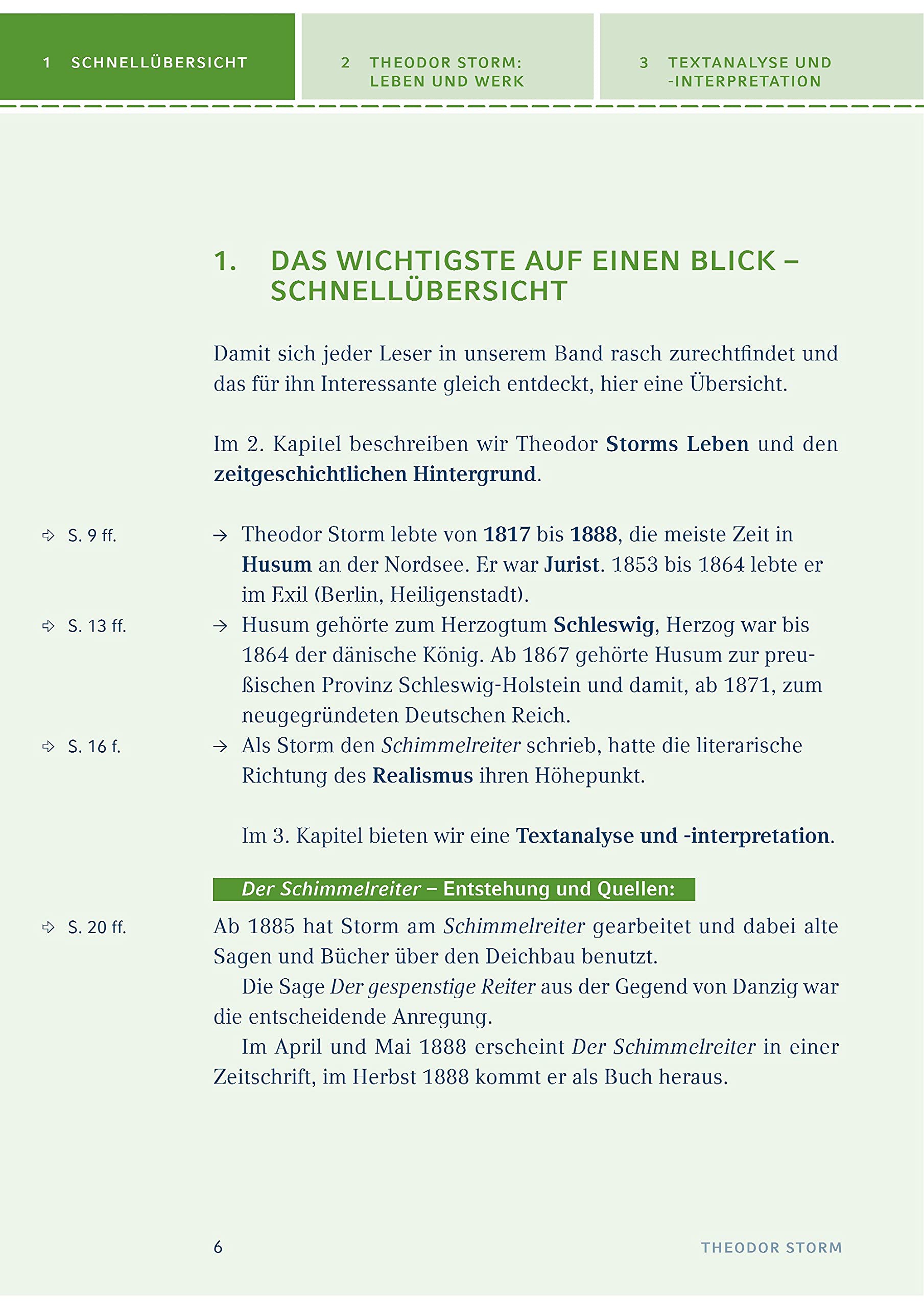 Der Schimmelreiter Textanalyse 