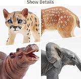 toymany 12Pcs Forest Animals Playset Kids Zoo Figurines Realistic Details view 4