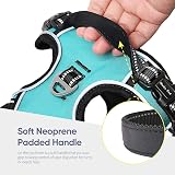 HEELE Dog Harness Padded Handle Reflective 2 Rings Turquoise XL view 5
