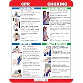 CPR, Choking &amp; First Aid Charts, 1, Full Magnet Back(1, CPR/Choking)
