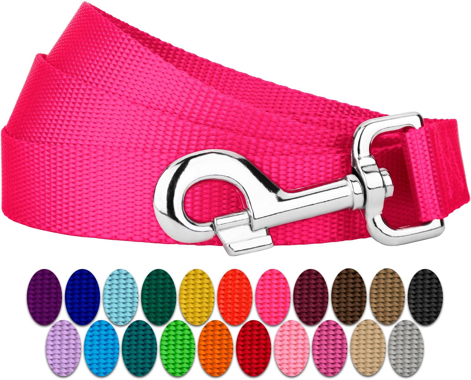 Country Brook Petz - Everyday Nylon Dog Leash - Strong, Durable, Solid Color Leash with Easy to Use Snap - 25+ Colors (1 Inch Wide, 6 Foot, Hot Pink)