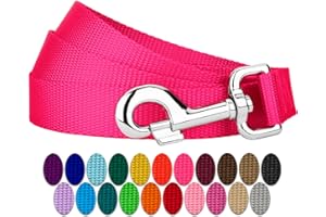COUNTRY BROOK DESIGN Country Brook Petz 1" Wide Heavy-Duty Nylon Leash for Dogs - Traditional Style Durable Leash with Easy-to-Use Snap - Made in The USA, Hot Pink, 6 Foot