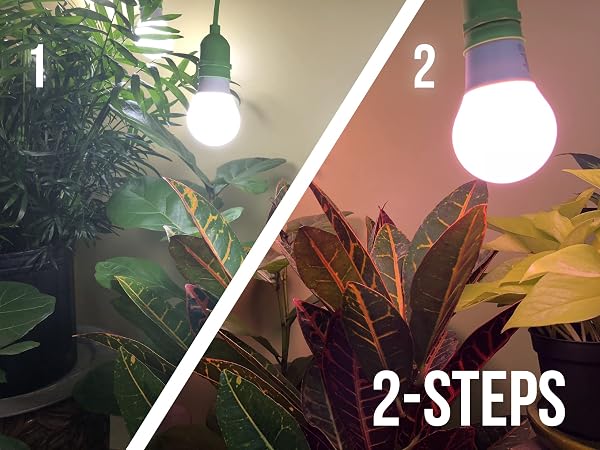 MIRACLE LED PLANT LIFE CYCLE 3-SOCKET SYNCHRONIZED GROW LIGHT KIT WITH 3 FULL SPECTRUM ABSOLUTE DAYLIGHT + BULBS AND 3 RED SPECTRUM MULTI-PLANT BULBS WITH SPROUTMATIC TIMER CONTROLS (2 PACK)