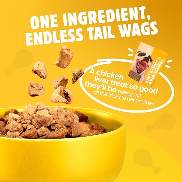 PAW BITES FREEZE DRIED DOG TREATS – CAGE-FREE CHICKEN LIVER – DOG FOOD DRY SNACKS – WITH PROTEIN & OMEGA 3S – FOR ALL BREEDS & SIZES – NO ARTIFICIAL FLAVORS & DYES, NO PRESERVATIVES – 1 POUCH, 4 OZ