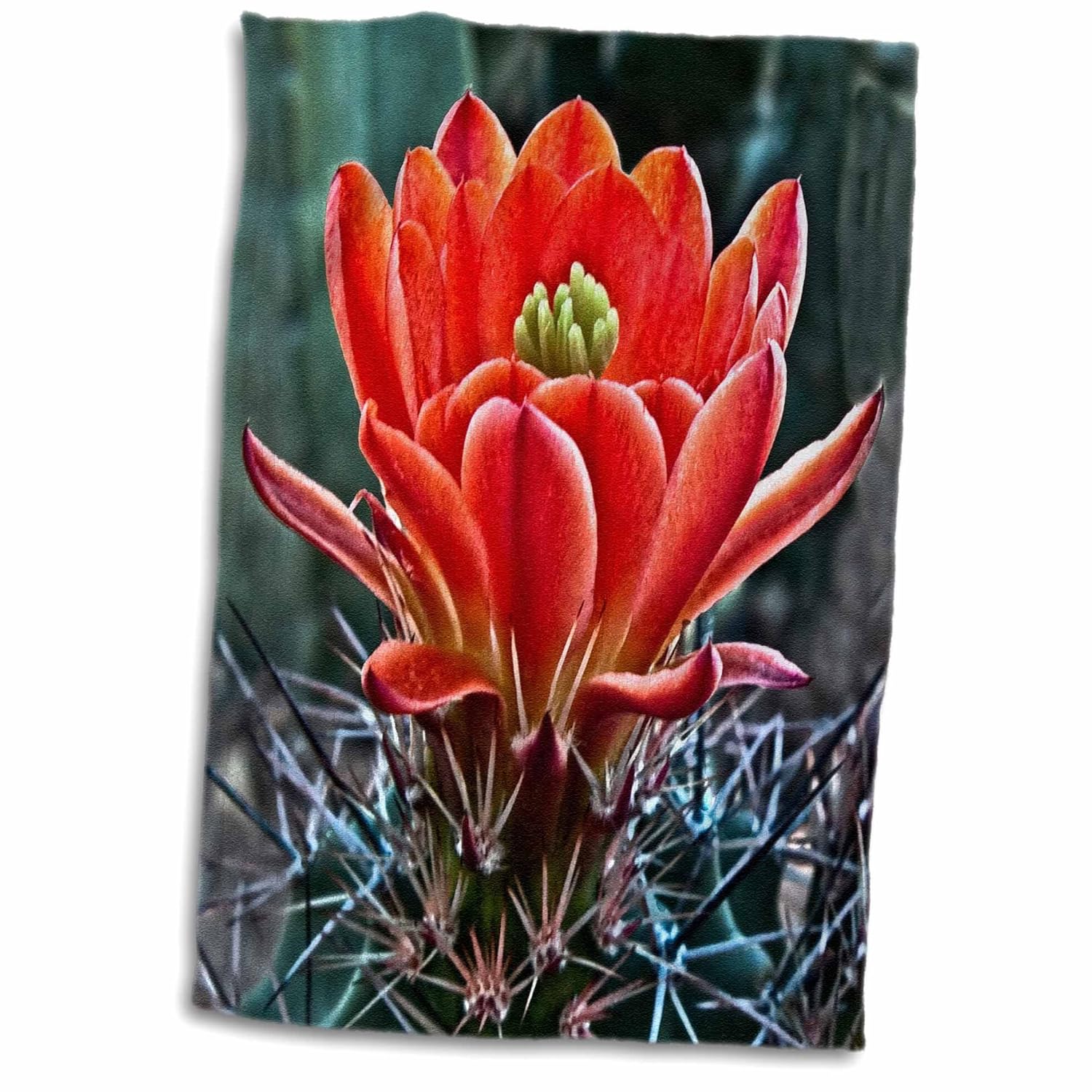Kitchen & Table Linens 3D Rose Decorative Colorful Garden ...