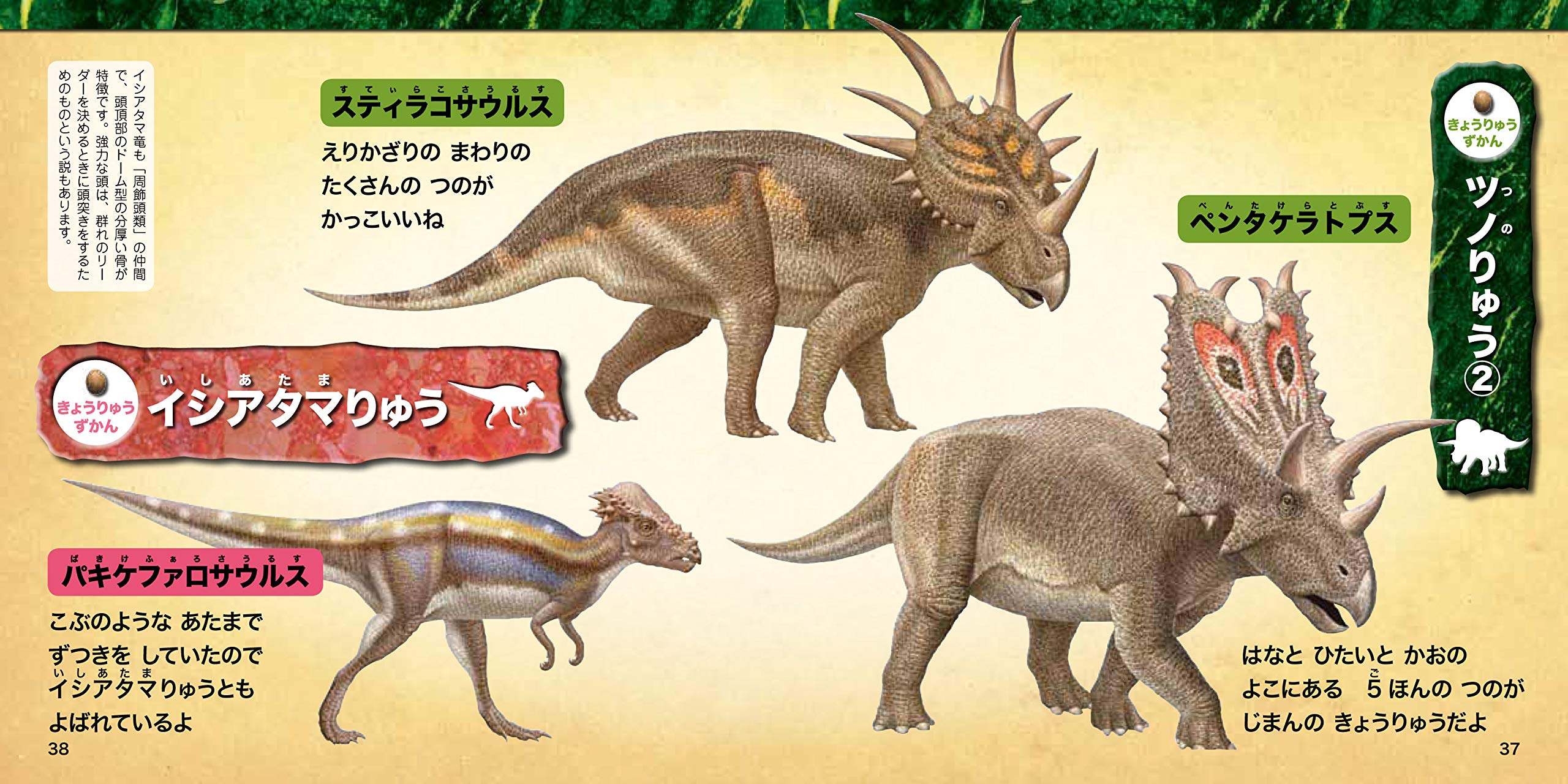 あつまれ きょうりゅう なかよし写真えほん 慶司 寺越 本 通販 Amazon