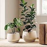 LE TAUCI Ceramic Plant Pots, Set of 2, 10 + 12 Inch Plant Pot, Elegant Planters for Indoor Plants, Sturdy Planter with Drainage Hole and Saucers, Perfect for Home Decor, Reactive Glaze Beige
