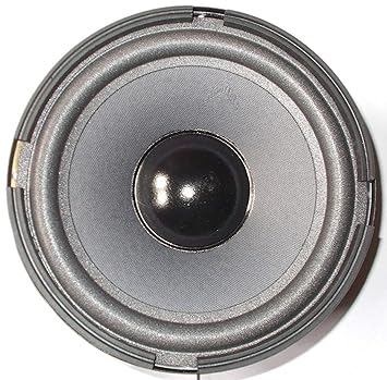 sweton 8 inch woofer