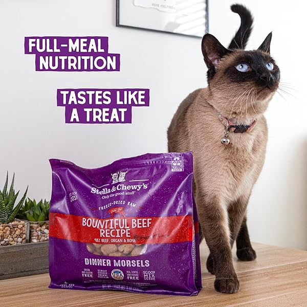 STELLA & CHEWY’S FREEZE-DRIED RAW CAT DINNER MORSELS – PREMIUM BEEF RECIPE WITH 98% GRASS-FED MEAT & ORGANS – NATURAL GRAIN-FREE CAT & KITTEN FOOD – MADE IN USA – 3.5 OZ