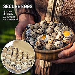 HavRixor Quail Egg Cartons 30 Pack- Holds Up to Two