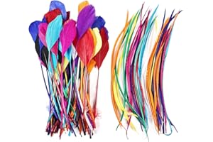 MehelloFeather Colorful Feathers 2 Style Craft Feathers 120Pcs for Handmade DIY Wedding Family Party Decorations Mixed Natural Feathers