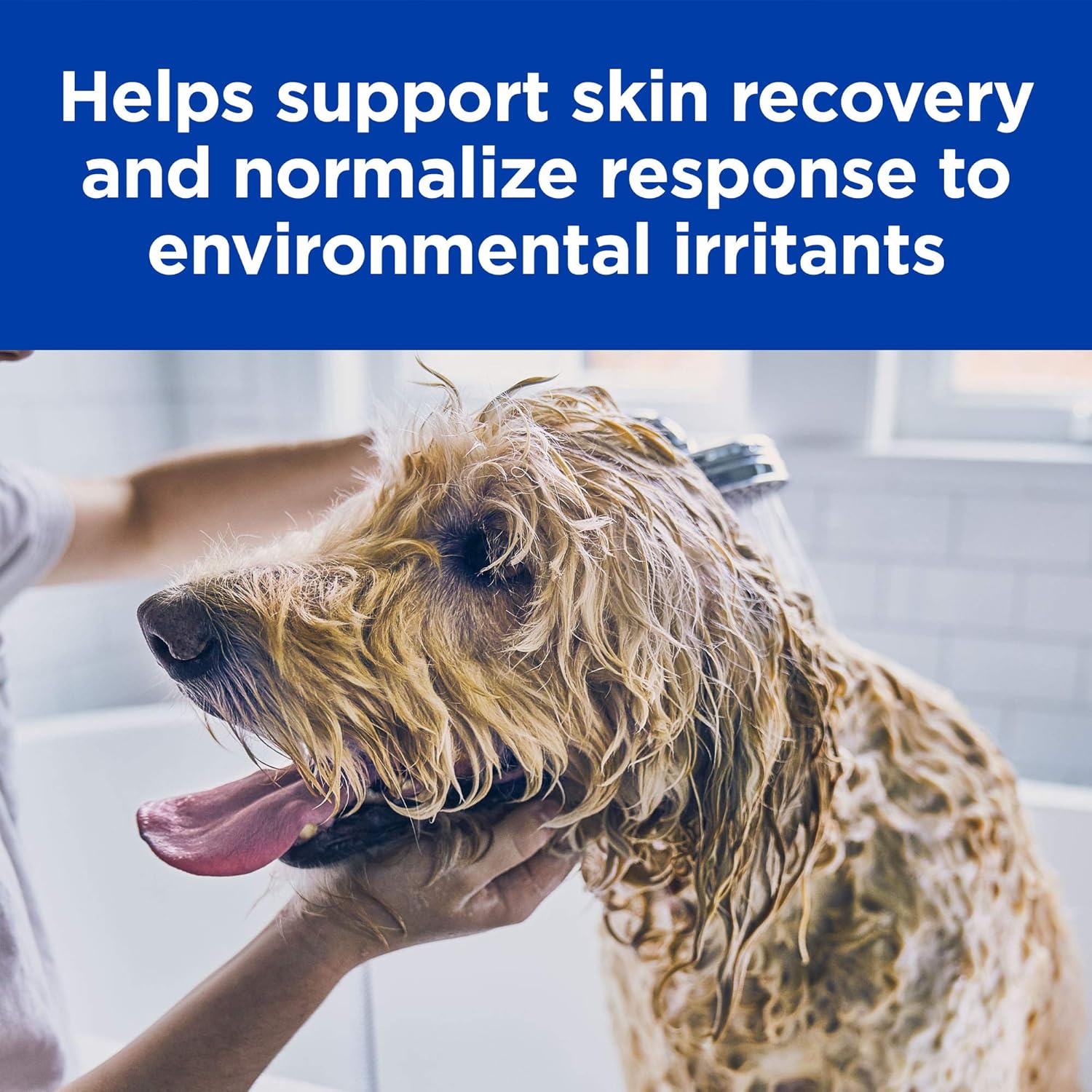 hill's science diet derm defense dog food