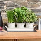 CKB LTD Set of 3 Metal Herb Pots with Drip Tray Chalk White 4.5in pots view 3