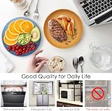 CSYY 6pcs Unbreakable Dinner Plates Set 9 Inch Plastic Deep Plates view 4