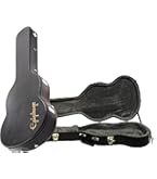 Epiphone ES-335 dot studio nazcaケース付 Epiphone ES-335 dot studio nazcaケース付 Epiphone ES-335 dot