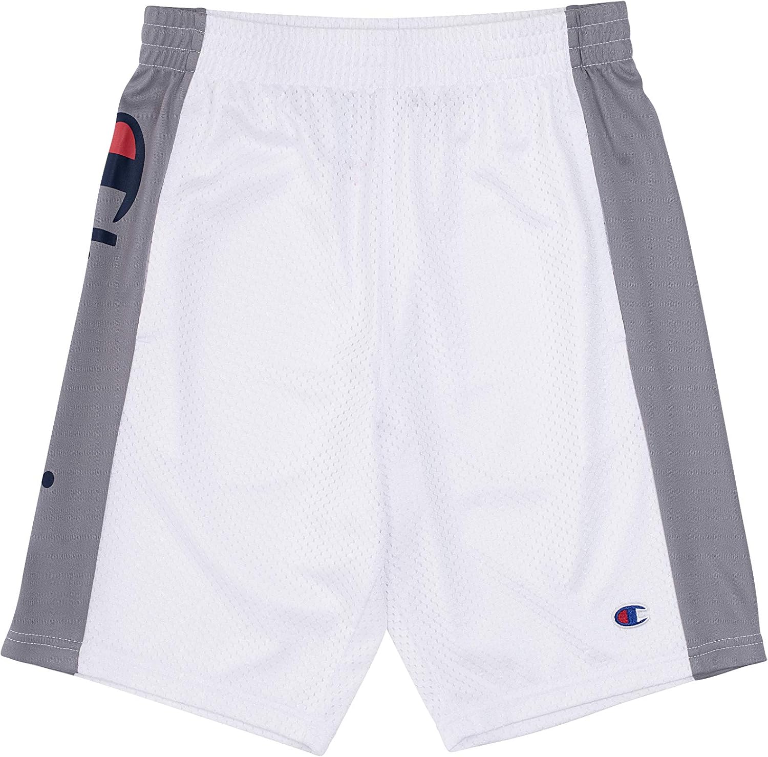 Champion Boys Hertiage Script Mesh Short: Clothing