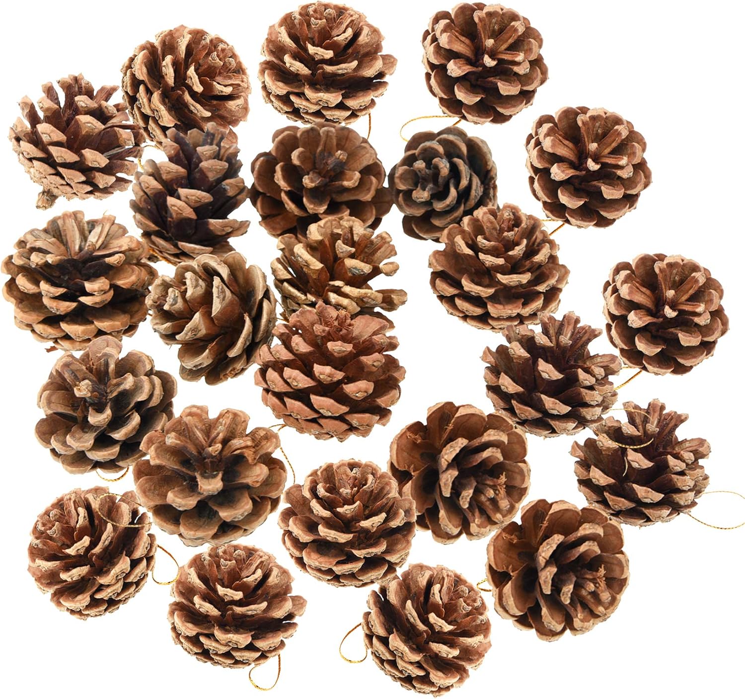 yeabwps 24 Pieces Christmas Natural Pine Cones, Rustic Pinecones Bulk Ornaments with Rope for Home Accent Decor, Fall Thanksgiving Tree Decoration Harvest Autumn Party Craft Accessory Decorations