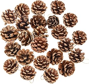 yeabwps 24 Pieces Christmas Natural Pine Cones, Rustic Pinecones Bulk Ornaments with Rope for Home Accent Decor, Fall Thanksgiving Tree Decoration Harvest Autumn Party Craft Accessory Decorations