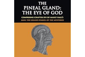 The Pineal Gland: The Eye of God
