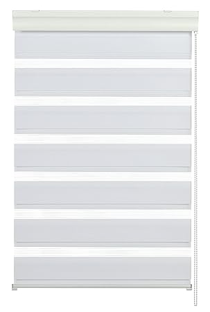 GARDINIA Doppelrollo mit Kassette, Duo-Rollo/ Seitenzugrollo, Transparente und blickdichte Streifen, Alle Montage-Teile inklu