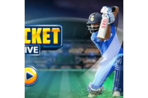 MY CRICKET