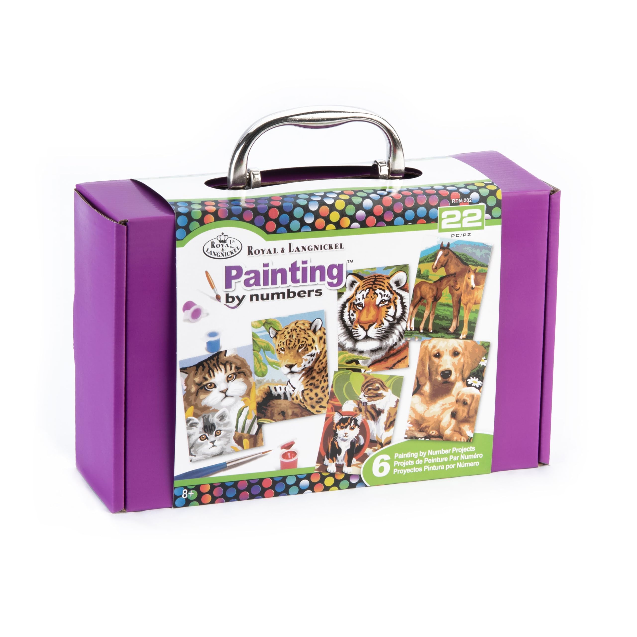 Royal Brush Painting by Numbers Kit