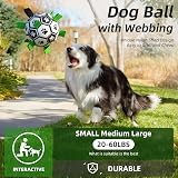 HETOO Dog Football Toy 6 Inch Interac tive Ball with Webbing Durable PU view 2