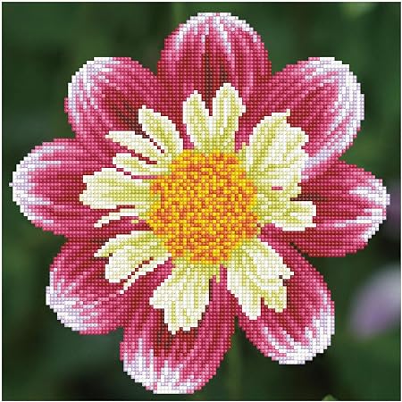 Amazon.com: Diamond Dotz DDZDD-5.040 Kit Intermediate Daisy A Day, None