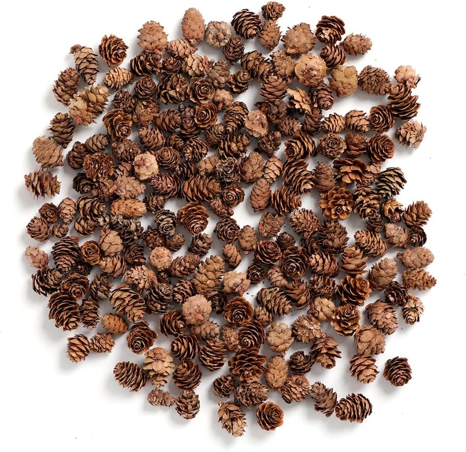 Vase Fillers - BYHER Pine Cones, Mini Pinecones in Bulk for Crafts, 8OZ, Pack of 110 (Natural)
