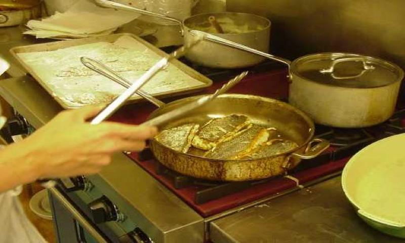 Babyfoodscoops - //medicalbooks.filipinodoctors.org