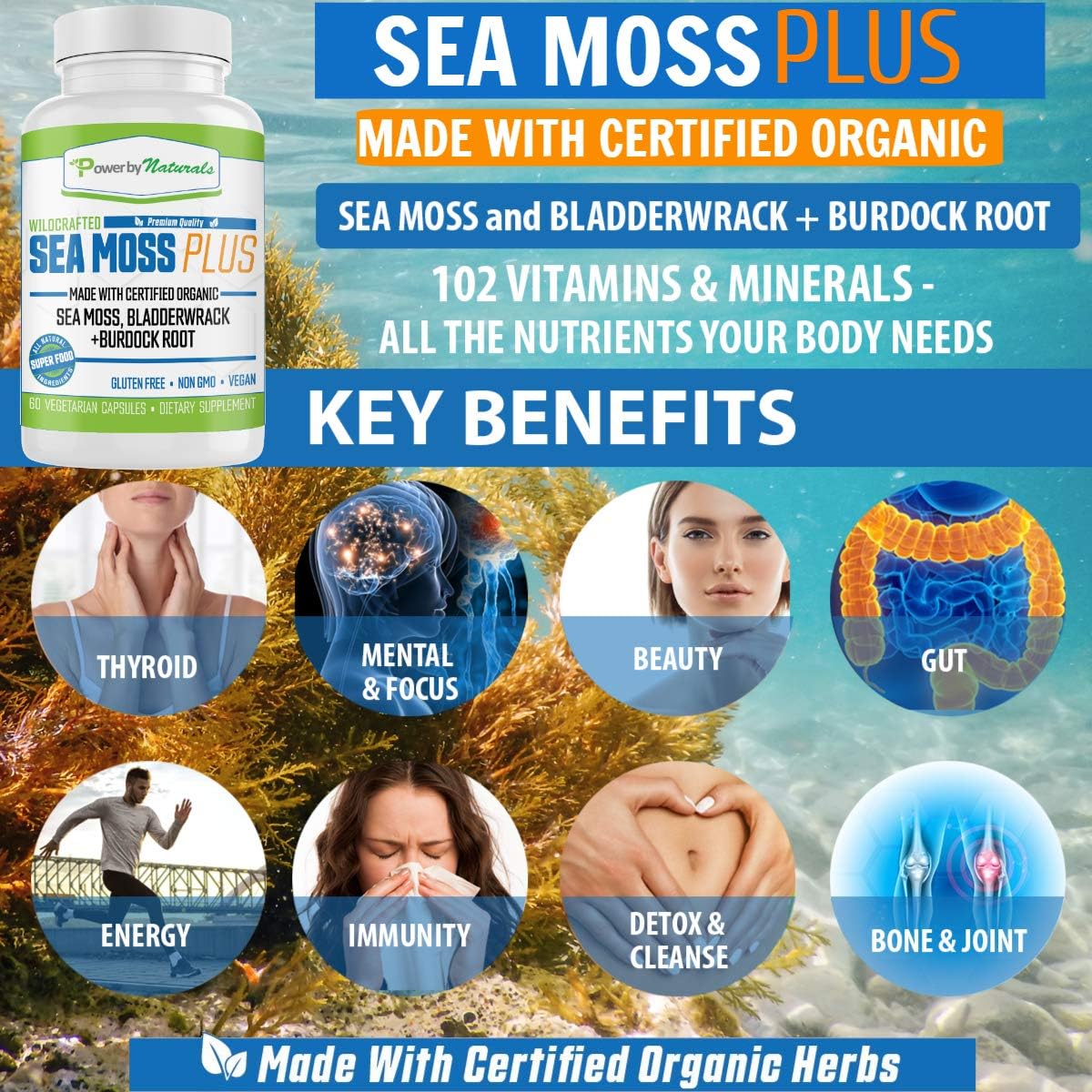 Power by Naturals – Certified Organic Sea Moss Plus – Wildcrafted Irish Sea Moss Bladderwrack Burdock Root – Pure Sea Moss Powder Supplements - No Fillers, Vegan, non-gmo - Seamoss Capsules (60 Pills): Health & Personal Care